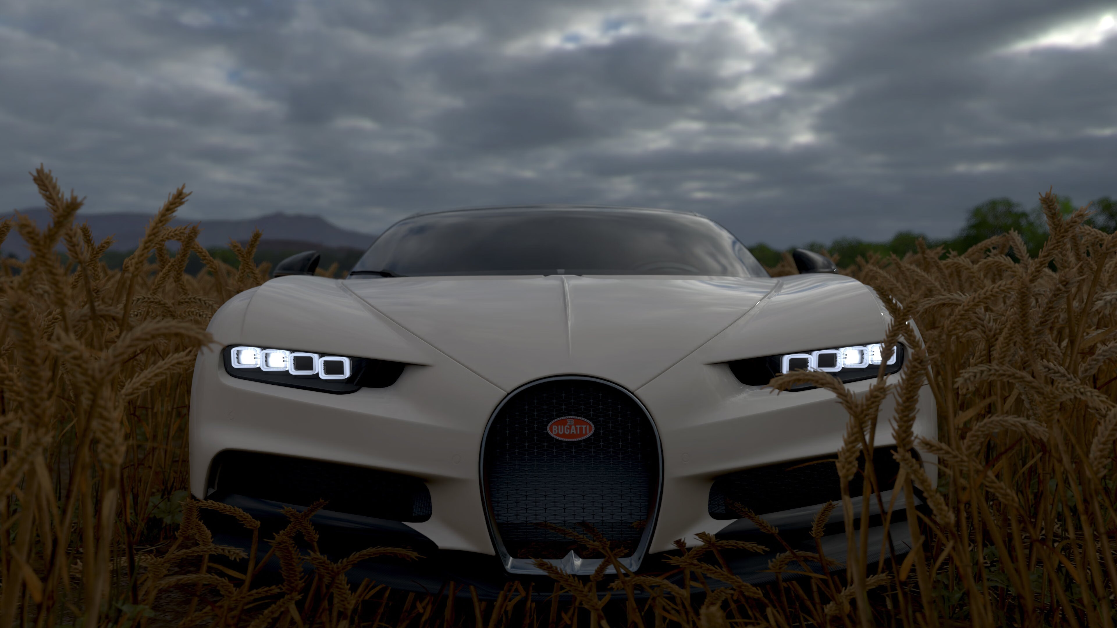 全运会准备工作紧张有序进行，全运会备战