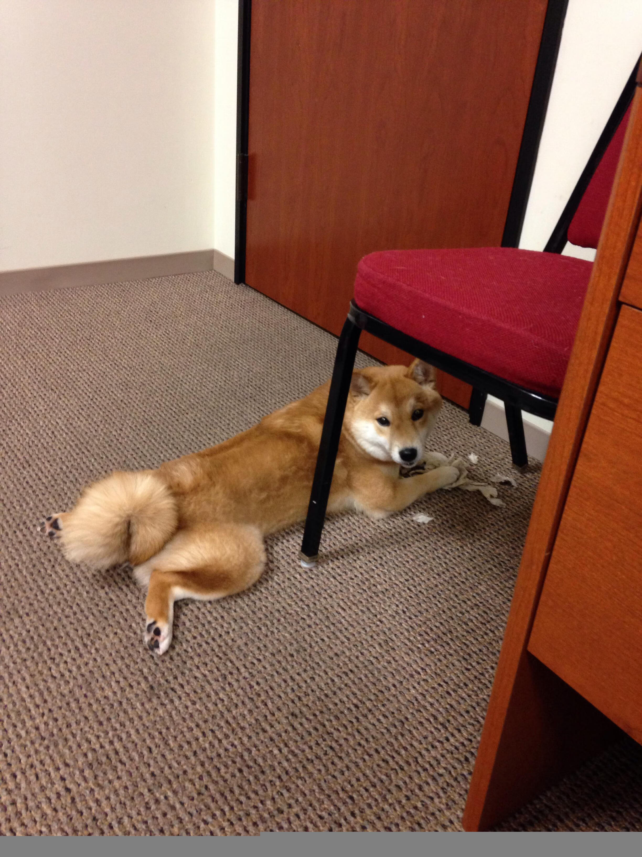 九游.中国官网-凯莉·麦基翁刷新个人200米仰泳最佳成绩，凯莉麦基翁身高