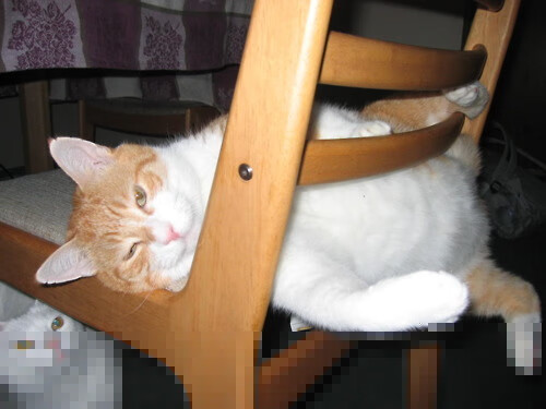 九游娱乐app官网-意甲教练战术板首次曝光，意甲教练年薪排行