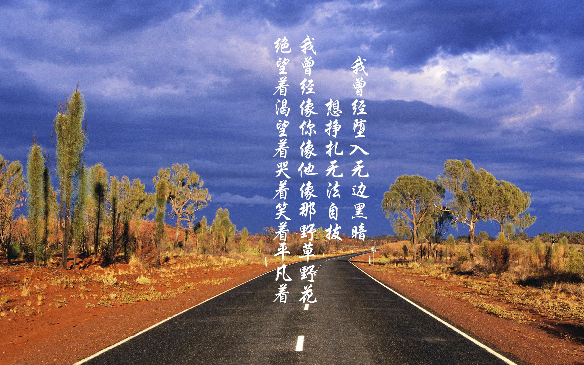 波兰蛙泳选手状态稳定，波兰泳队